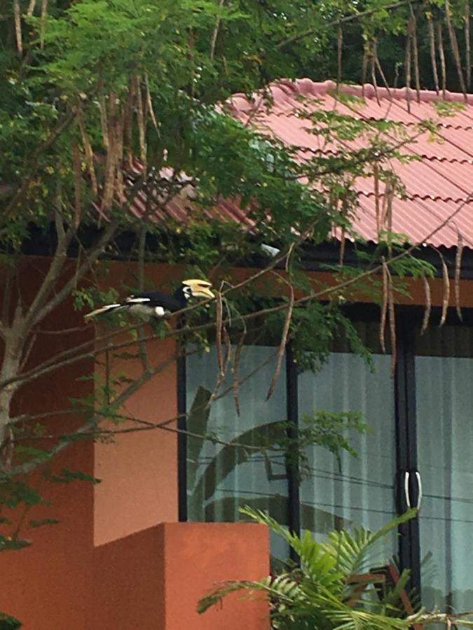 Baansuan Amaleena Ko Yao Noi Exterior foto